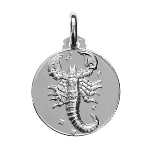 0769907 Pendentif argent Zodiaque rond