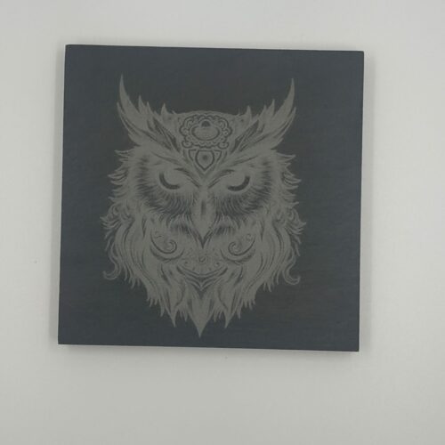 Sous verre ardoise thème Animal chouette hibou Sous verre ardoise thème foot Paris saint germain bijouterie PINTO Jussey Haute-Saône
